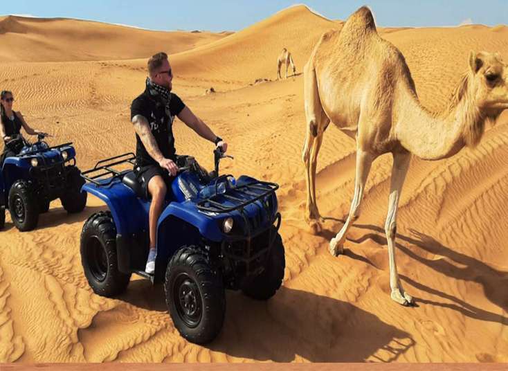 Quad Bike With Camel Ride